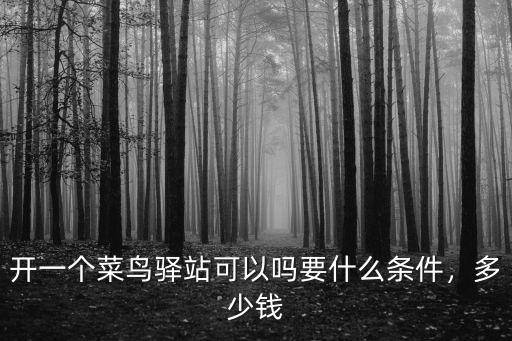 開一個菜鳥驛站可以嗎要什么條件，多少錢