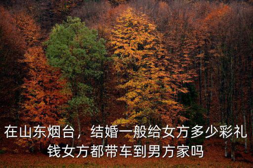在山東煙臺(tái)，結(jié)婚一般給女方多少彩禮錢女方都帶車到男方家嗎