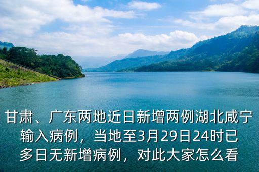 廣東新增肺炎病例分布在哪里,廣東每天都在新增本土病例
