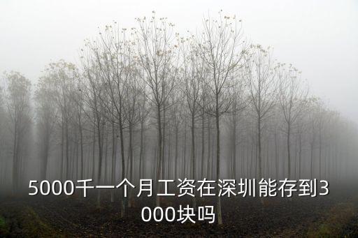 5000千一個(gè)月工資在深圳能存到3000塊嗎