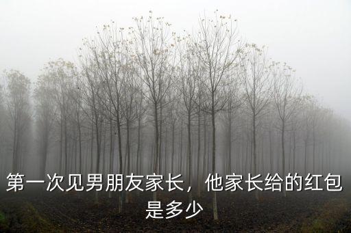 廣東陽江第一次見家長給多少紅包,第一次見男朋友家長