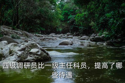 四級調研員比一級主任科員，提高了哪些待遇
