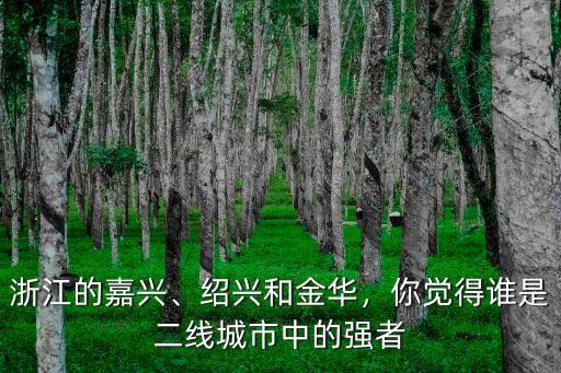 嘉興有多少個(gè)二線城市,浙江嘉興屬于幾線城市呢