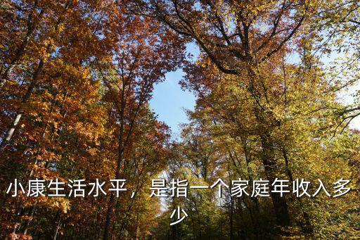 小康生活水平，是指一個(gè)家庭年收入多少