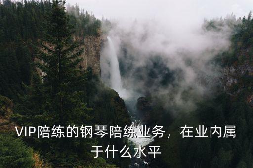 廣州vip鋼琴陪練怎么樣,關于鋼琴陪練