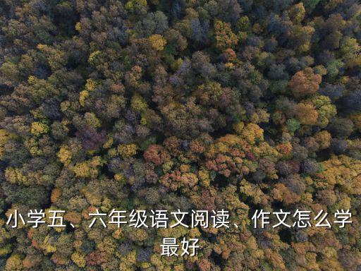 佛山小學語文閱讀作文哪里好,六年級語文閱讀