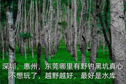 深圳東莞爬蟲哪里有,誰有東莞深圳周邊好玩的海灘