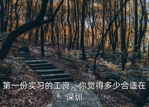 深圳實(shí)習(xí)時(shí)薪多少錢一小時(shí),在深圳實(shí)習(xí)生3500