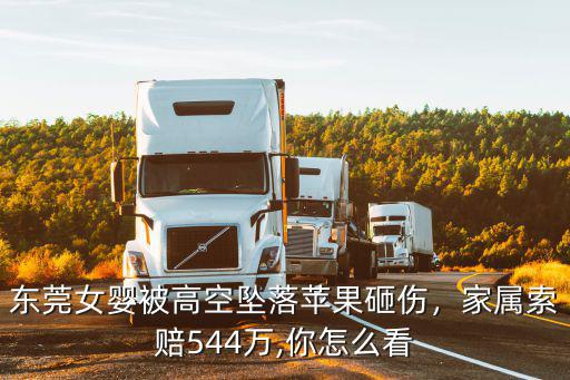 東莞女嬰被高空墜落蘋果砸傷，家屬索賠544萬,你怎么看