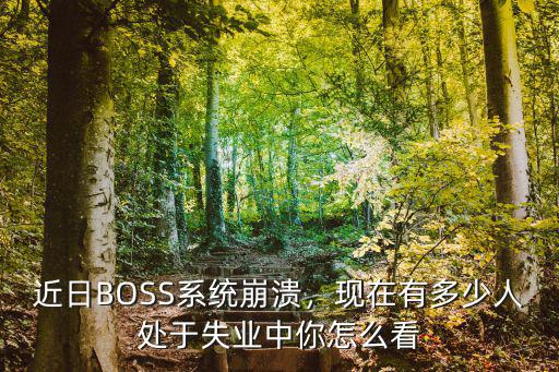 深圳現(xiàn)在有多少人失業(yè),現(xiàn)在有多少人處于失業(yè)中