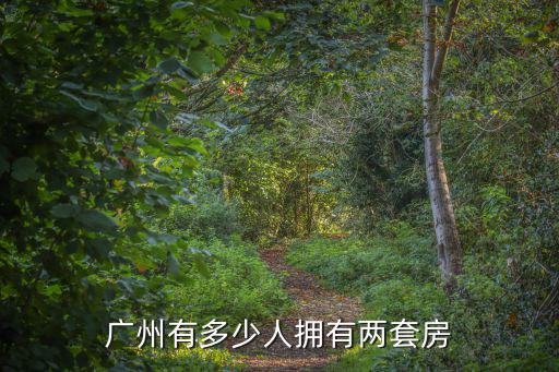目前廣州商品房總共多少套房,廣州現(xiàn)在有多少套房