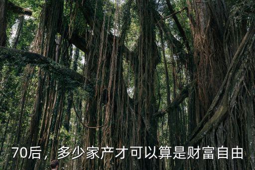 70后，多少家產(chǎn)才可以算是財(cái)富自由