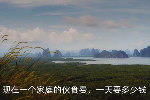 現在一個家庭的伙食費，一天要多少錢