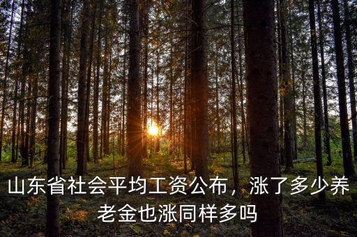 山東省社會(huì)平均工資公布，漲了多少養(yǎng)老金也漲同樣多嗎
