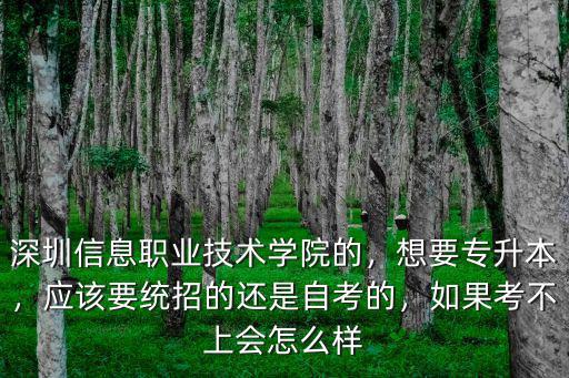 在深圳職校考不上會怎么樣,上職校怎么樣