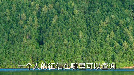 一個(gè)人的征信在哪里可以查詢