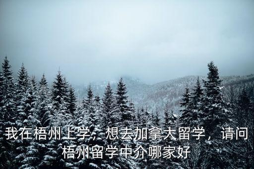 我在梧州上學(xué)，想去加拿大留學(xué)，請問梧州留學(xué)中介哪家好