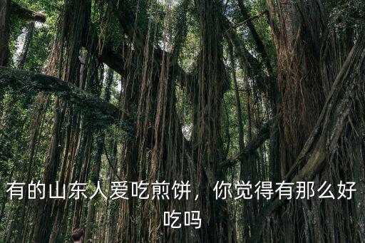 有的山東人愛吃煎餅，你覺得有那么好吃嗎