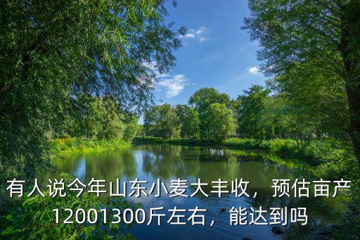 有人說今年山東小麥大豐收，預估畝產12001300斤左右，能達到嗎