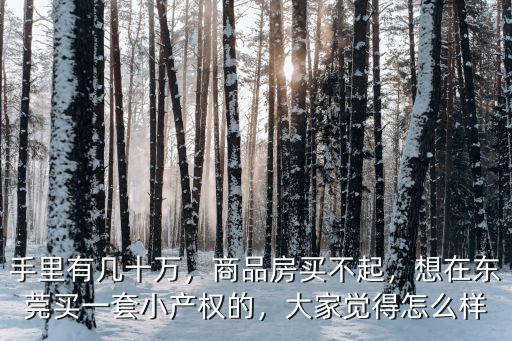 手里有幾十萬，商品房買不起，想在東莞買一套小產權的，大家覺得怎么樣
