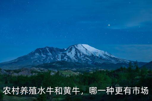 農(nóng)村養(yǎng)殖水牛和黃牛，哪一種更有市場