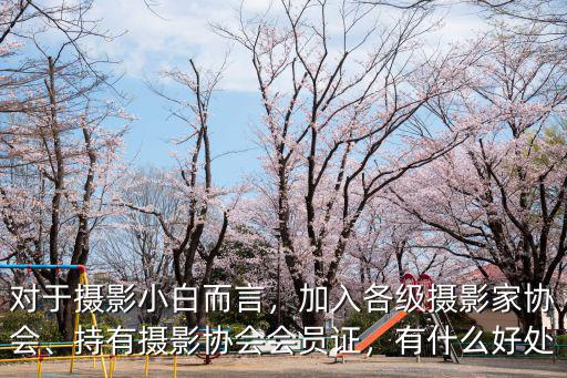 浙江省攝影家協(xié)會有多少會員,國的攝影家協(xié)會有哪些好處