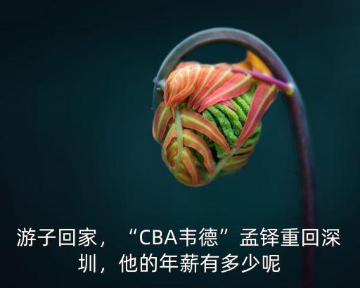 韋德去深圳哪里,CBA韋德孟鐸重回深圳
