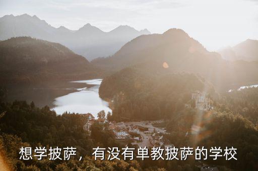 廣東哪里有披薩學(xué)校,哪里有學(xué)做披薩的