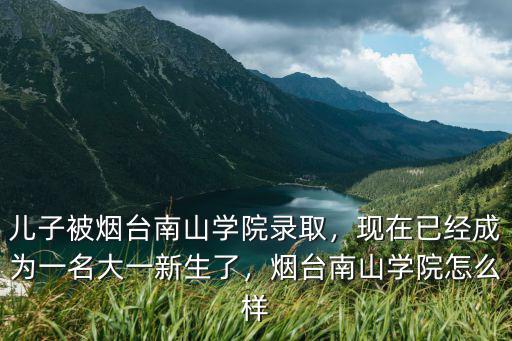 煙臺(tái)南山學(xué)院藝術(shù)生招了多少人,兒子被煙臺(tái)南山學(xué)院錄取