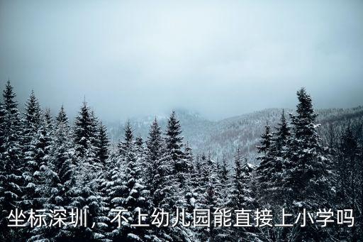 坐標深圳，不上幼兒園能直接上小學嗎