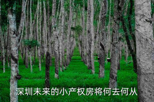 深圳公寓小產權怎么辦,深圳小產權房可不可以買