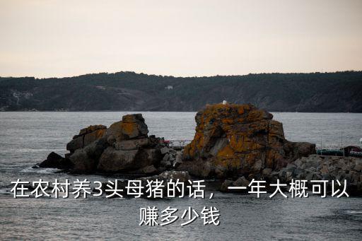 在農村養3頭母豬的話，一年大概可以賺多少錢
