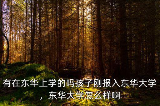 中山東華大學(xué)怎么樣,南華大學(xué)怎么樣