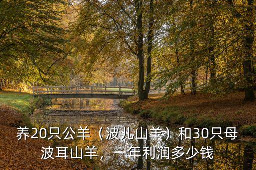 青島波爾山羊多少錢,一年利潤多少錢