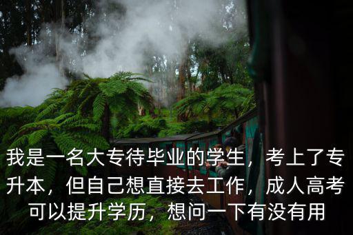 我是一名大專待畢業的學生，考上了專升本，但自己想直接去工作，成人高考可以提升學歷，想問一下有沒有用
