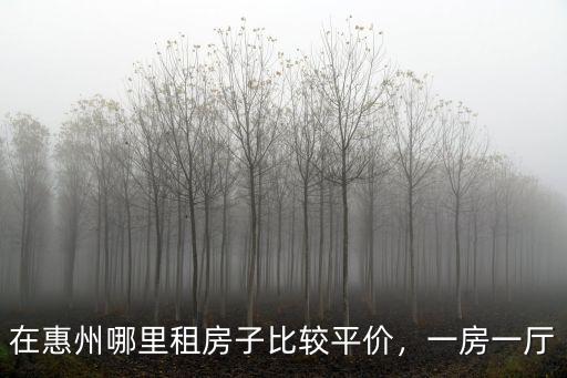 在惠州哪里租房子比較平價，一房一廳