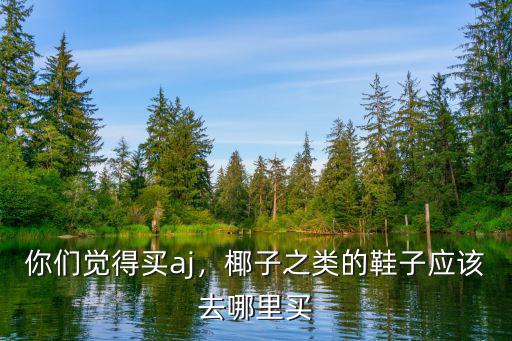廣州aj去哪里買(mǎi),椰子之類的鞋子應(yīng)該去哪里買(mǎi)