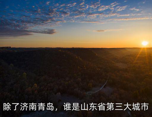 除了濟南青島，誰是山東省第三大城市