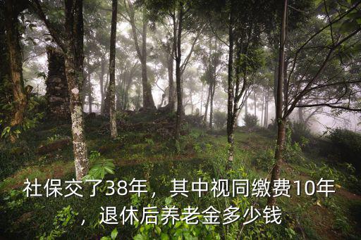 社保交了38年，其中視同繳費10年，退休后養老金多少錢