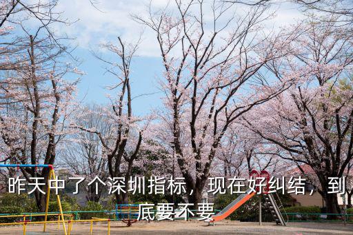 深圳車牌搖號中了指標之后怎么辦,有深圳上牌指標