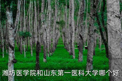 山東第一醫科大學代號是多少,比如山東第一醫科大學