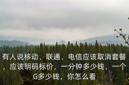 中山移動1分鐘多少錢,一個G多少錢
