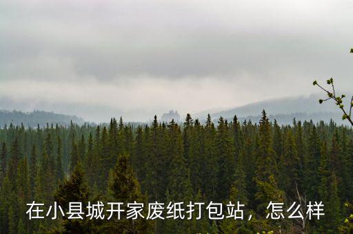 山東菏澤成武有多少?gòu)U紙打包站,要做一個(gè)廢紙打包站