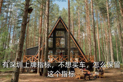 哪里有深圳牌協議車,我有一個深圳車牌指標