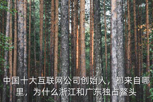 浙江有多少個創始人,中國十大互聯網公司創始人