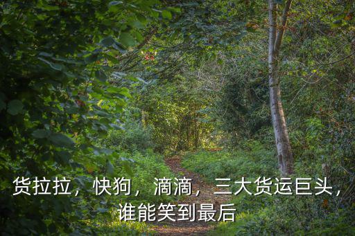 杭州滴滴貨運一天能跑多少,用來跑滴滴怎么樣