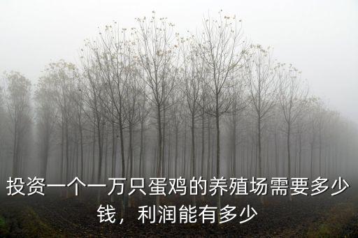 投資一個(gè)一萬只蛋雞的養(yǎng)殖場需要多少錢，利潤能有多少