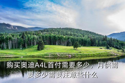 湖州奧迪首付多少,購(gòu)買奧迪A4L首付需要多少