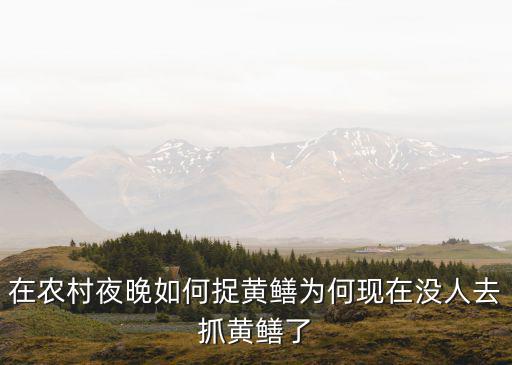 廣東哪里抓黃鱔,為何現在沒人去抓黃鱔了