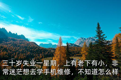 廣州學修手機怎么樣,非常迷茫想去學手機維修